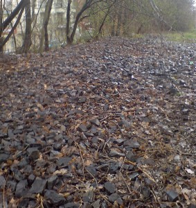 Verlaten spoortraject bij het Treptowpark in Berlijn.  