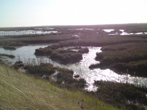 Suffolk - het landschap van W.G. 'Max' Sebald