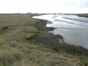 Voorwereldlijke landschappen 